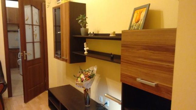 Rent daily an apartment in Lviv on the Avenue V‘iacheslava Chornovola per 750 uah. 