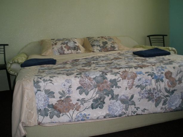 Rent daily an apartment in Brovary on the lane Korolenka per 500 uah. 