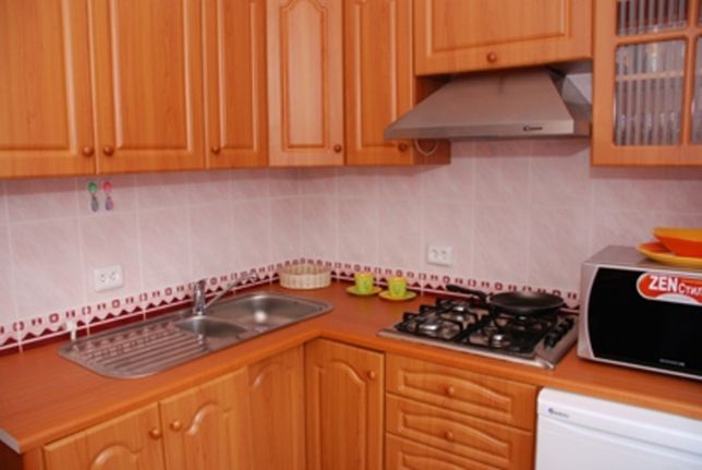 Rent daily an apartment in Kyiv on the lane 1-i Druzhby per 800 uah. 