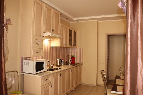 Rent daily an apartment in Kyiv on the lane Politekhnichnyi 12/ per 550 uah. 