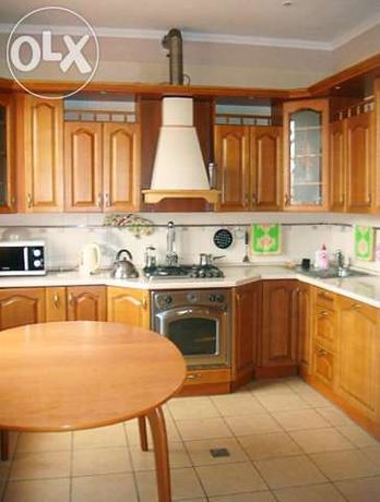 Rent daily a house in Kyiv on the St. Baseina per 10000 uah. 