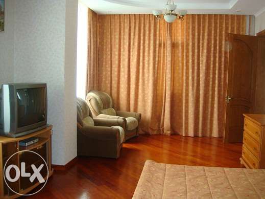 Rent daily a house in Kyiv on the St. Baseina per 10000 uah. 