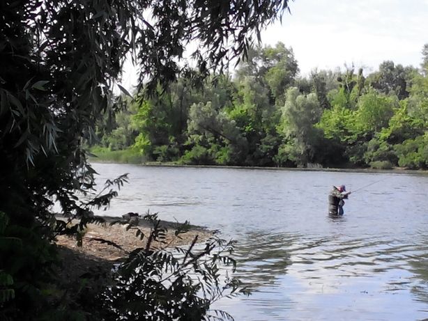 Зняти подобово будинок в Києві на вул. Русанівські сади 2 за 500 грн. 