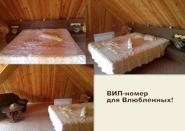 Rent daily a house in Kyiv near Metro Slavutich per 3500 uah. 