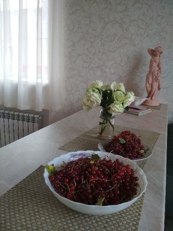 Rent daily an apartment in Lutsk on the St. Zatyshna per 400 uah. 