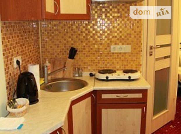 Rent daily an apartment in Ivano-Frankivsk on the St. Puliuia per 499 uah. 