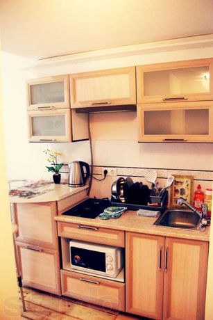 Rent daily an apartment in Ivano-Frankivsk on the St. Sichovykh Striltsiv 3 per 450 uah. 