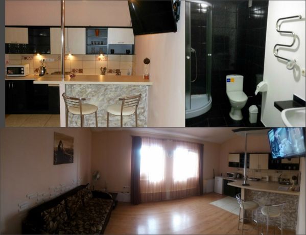 Rent daily an apartment in Ivano-Frankivsk on the St. Zaliznychna 49 per 390 uah. 