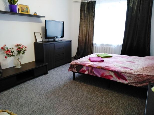 Rent daily an apartment in Kyiv on the St. Oleny Pchilky 2-Б per 550 uah. 