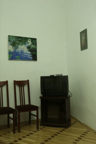 Rent daily an apartment in Lviv on the St. Kholodnoho per 300 uah. 