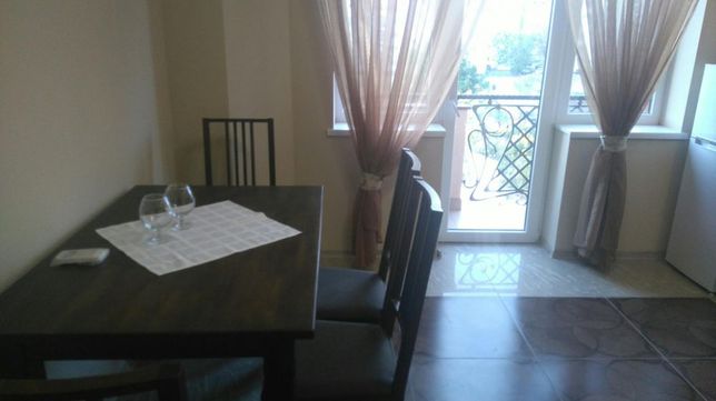 Rent daily an apartment in Uzhhorod on the lane Terenovyi per 460 uah. 