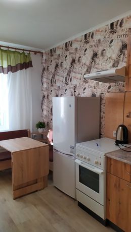 Rent an apartment in Kyiv on the Avenue Hryhorenka Petra 38 per 9500 uah. 