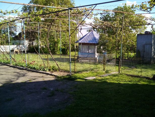 Снять дом в Мукачеве за 3500 грн. 
