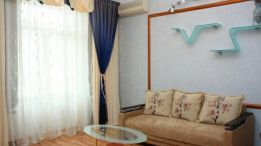 Rent an apartment in Melitopol on the Avenue Khmelnytskoho Bohdana 47 per 3000 uah. 