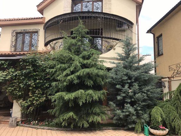 Снять дом в Одессе в Киевском районе за 1900 грн. 
