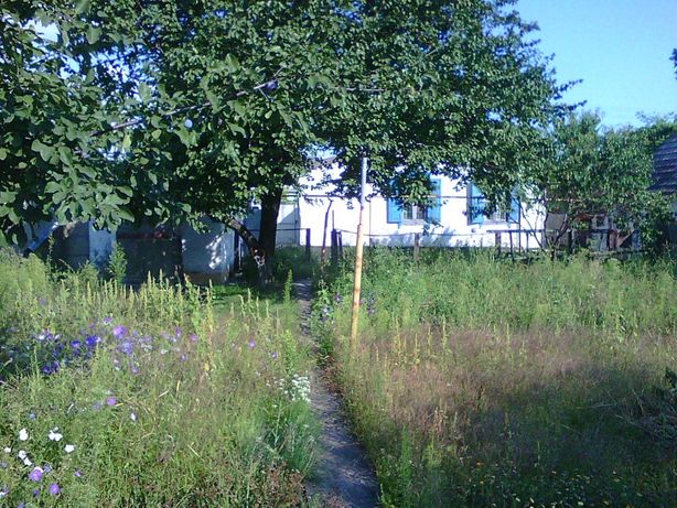Снять дом в Каменском на ул. Мечникова за 2500 грн. 