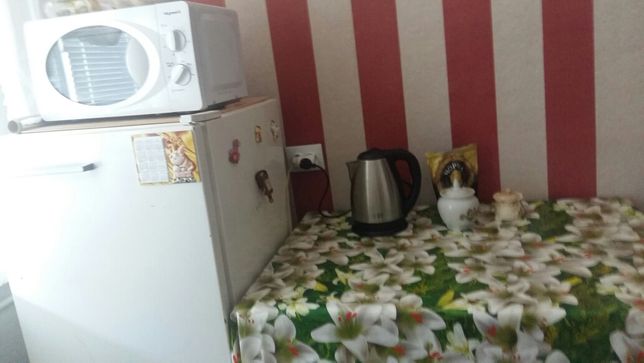 Rent daily an apartment in Nikopol on the St. Dobroliubova per 250 uah. 