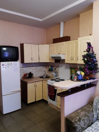 Rent daily an apartment in Odesa on the St. Panteleimonivska 88 per 450 uah. 