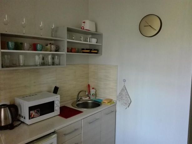 Rent daily an apartment in Chernihiv on the St. Piatnytska 61 per 500 uah. 