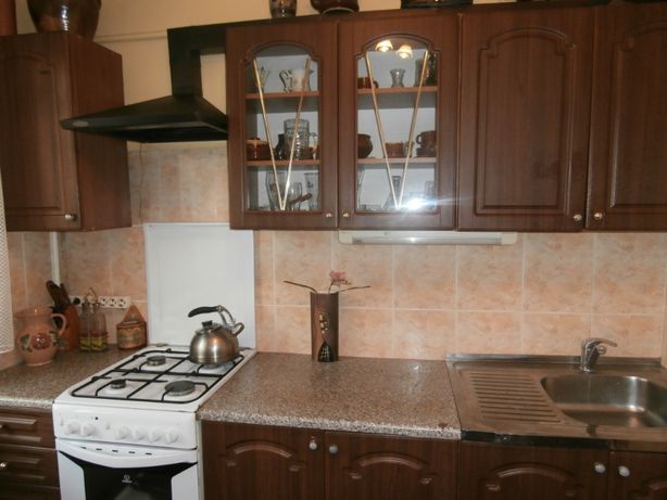 Rent daily an apartment in Lviv on the St. Dovzhenka per 550 uah. 