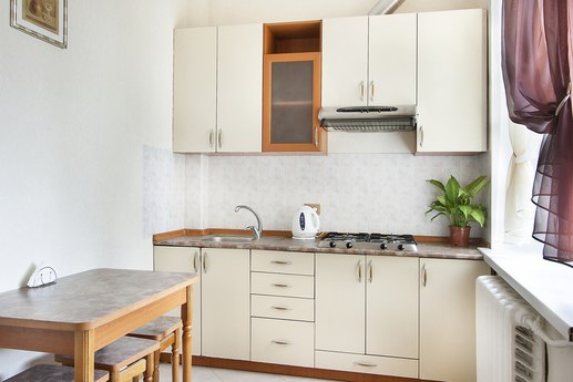Rent daily an apartment in Kyiv near Metro Klovska per 500 uah. 