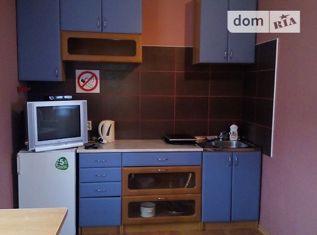 Rent daily an apartment in Kyiv on the St. Mykhaila Omelianovycha-Pavlenka per 450 uah. 